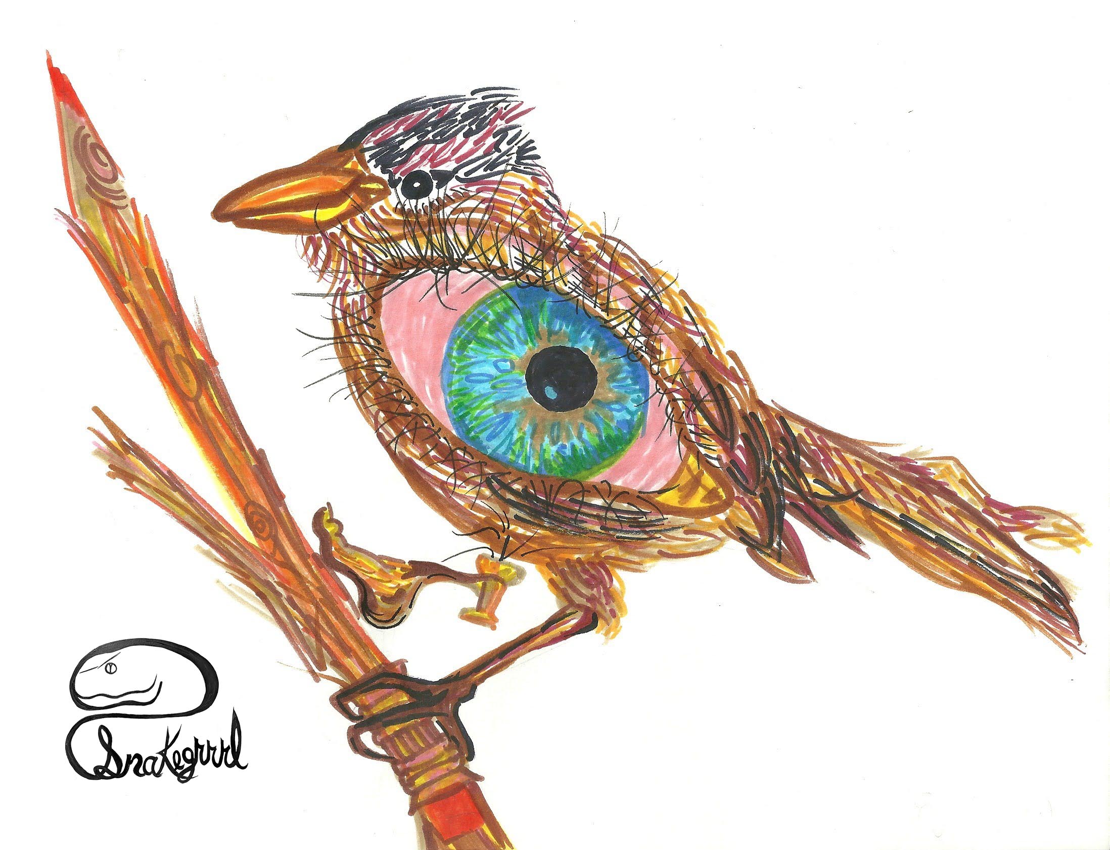 sparrow eye